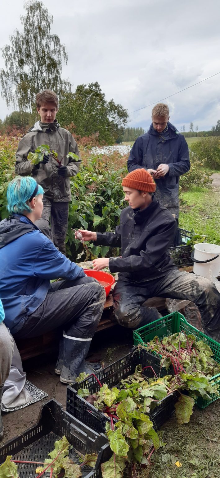 20200909_154724-709x1536