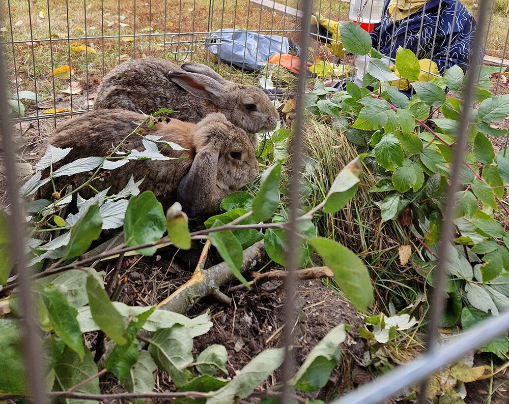 20221001_104702-e1739454525635