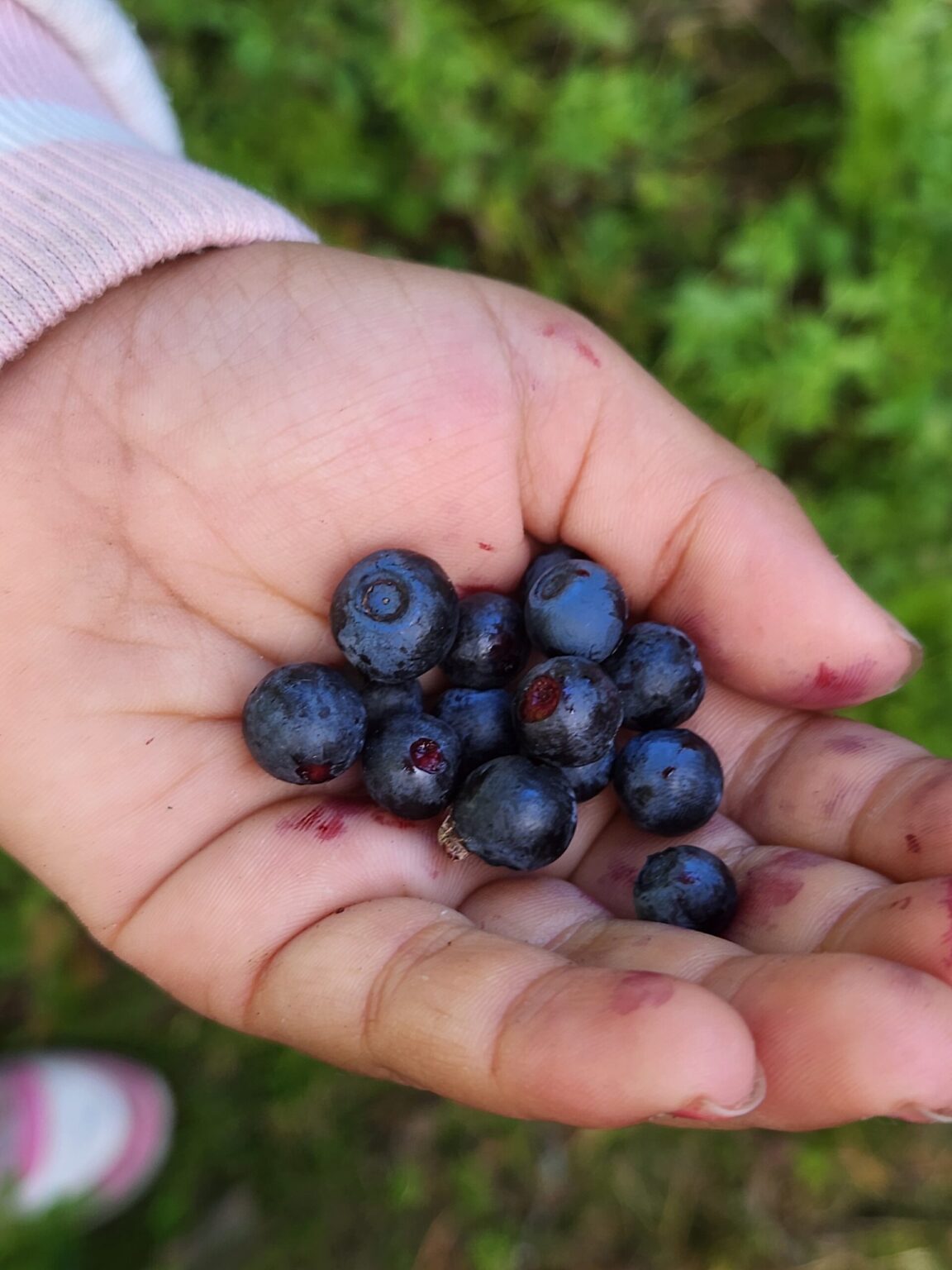 20240828_105121-scaled