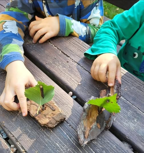 506082369_1174223707841423_7431782680968400203_n