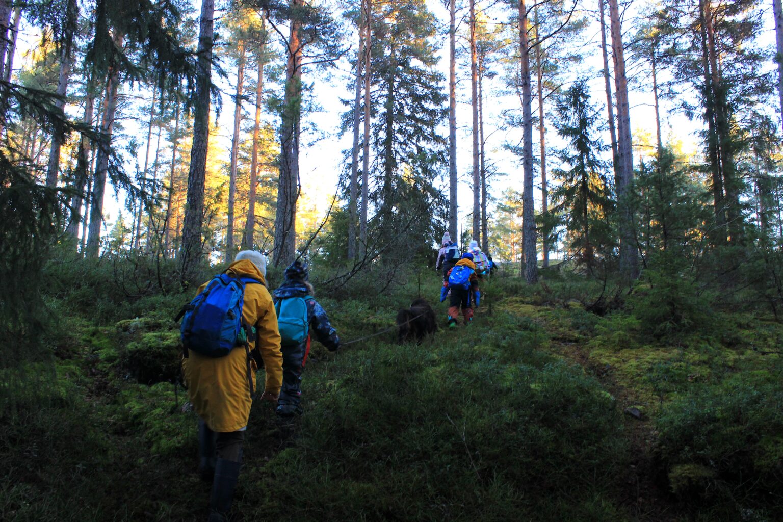 Liite 4 Mikaelskolan