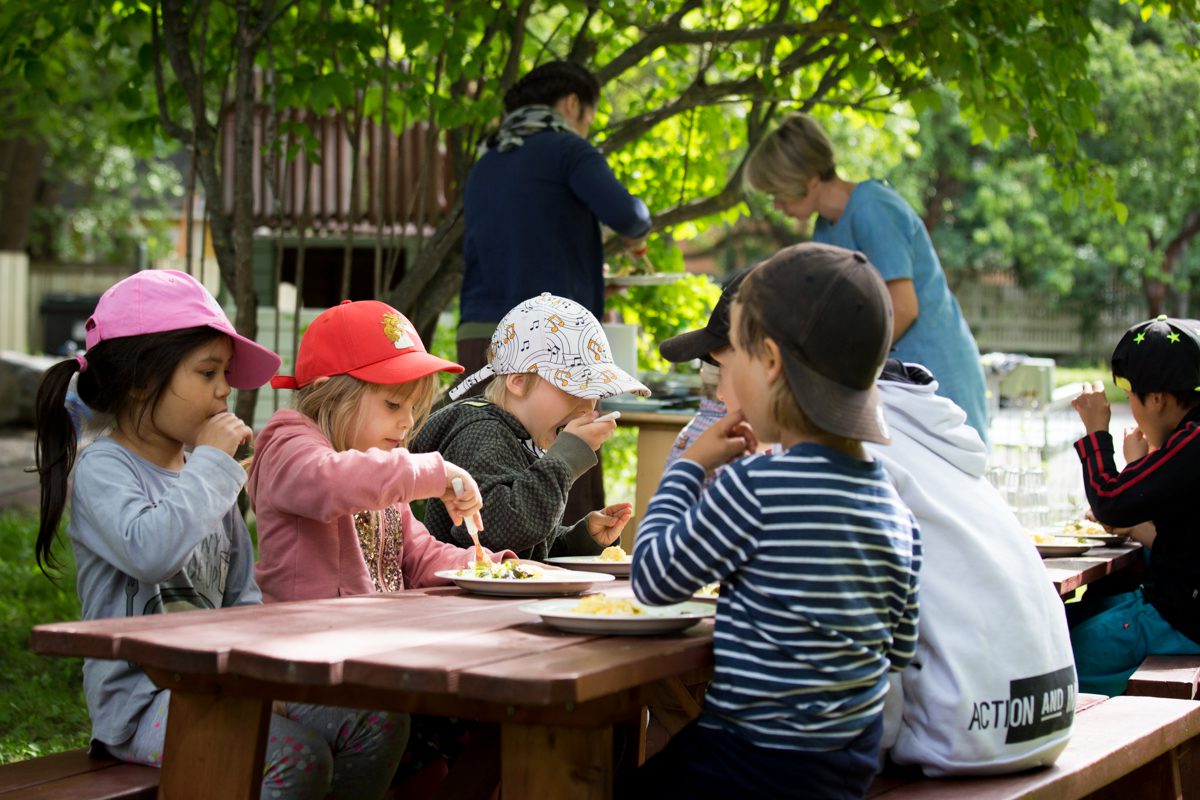 Tiitiainen piha kesakuu2018