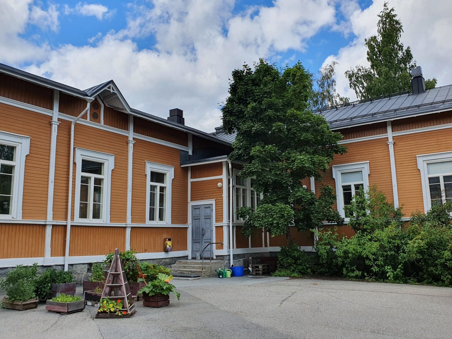 kuopion-steinerkoulu-kesällä